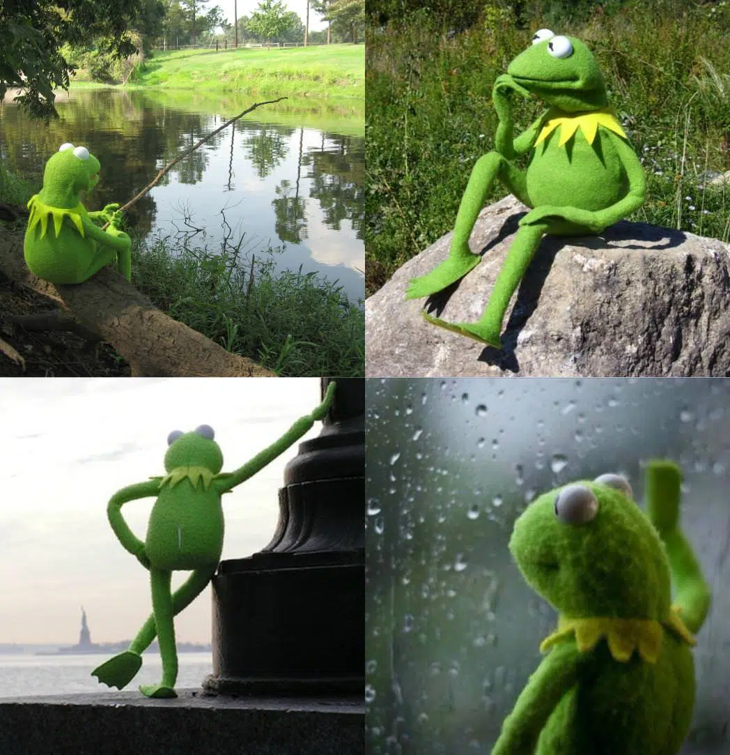 kermit reflecting on his music marketing campaign